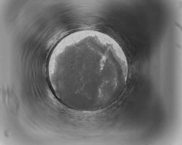 X0000103960002200810171912