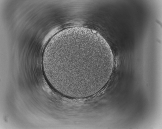 X0000103960004200810171912