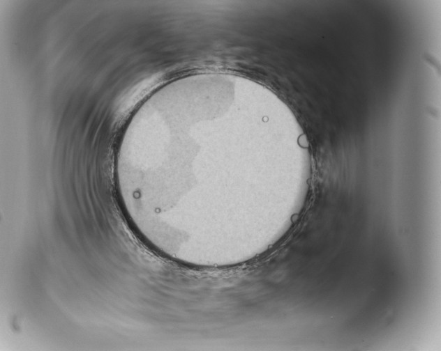 X0000103960005200810171912