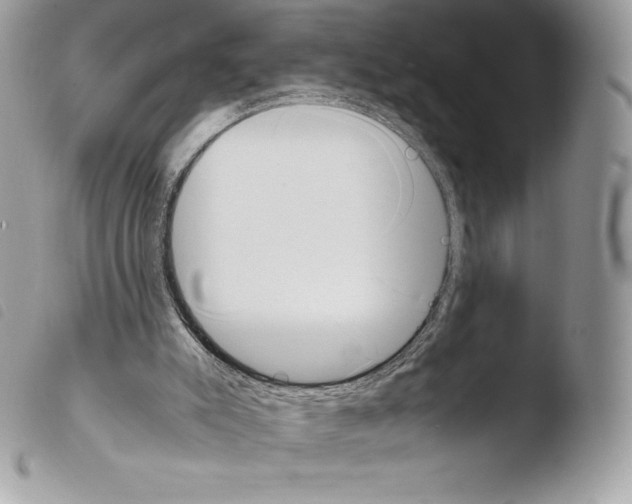 X0000103960007200810171912