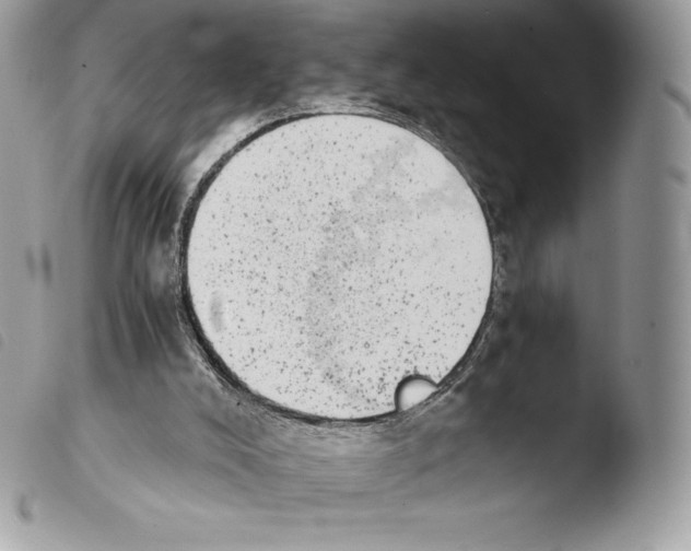X0000103960008200810171912