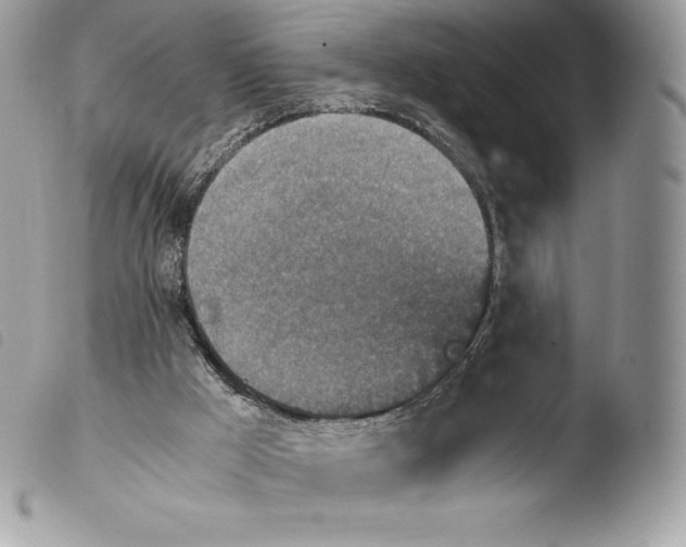 X0000103960009200810171912