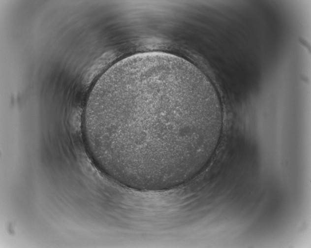 X0000103960010200810171912
