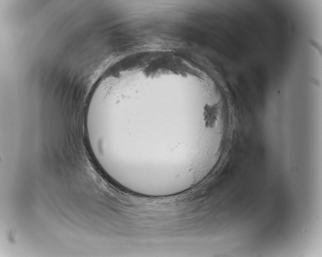 X0000103960011200810171912