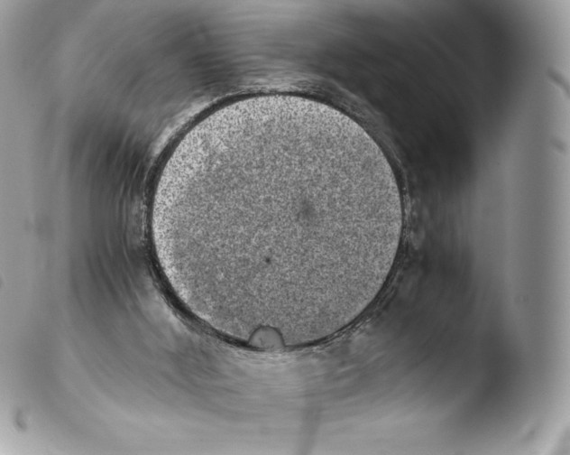 X0000103960012200810171912