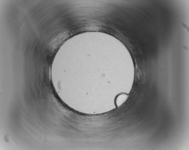 X0000103960013200810171912