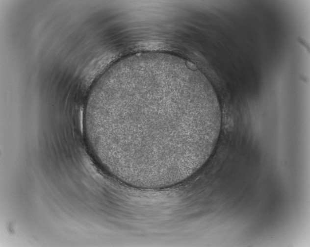 X0000103960014200810171912