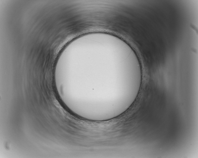 X0000103960015200810171912