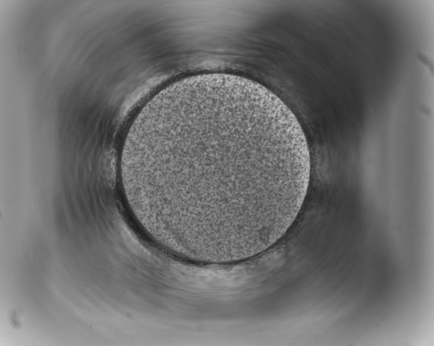 X0000103960016200810171912