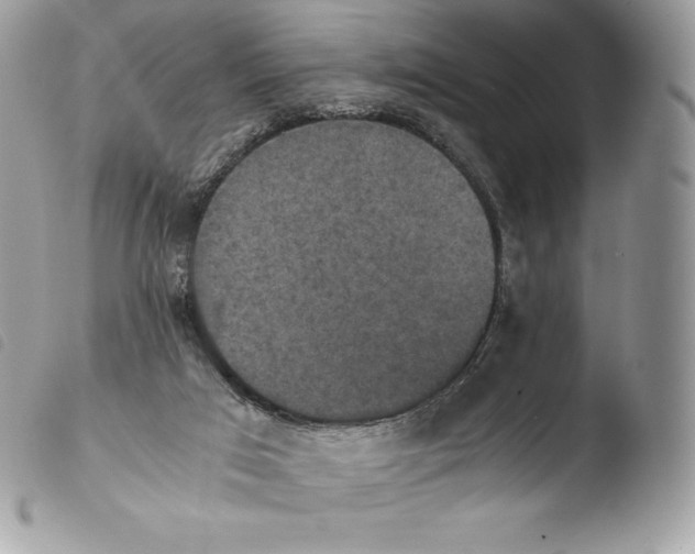X0000103960017200810171912