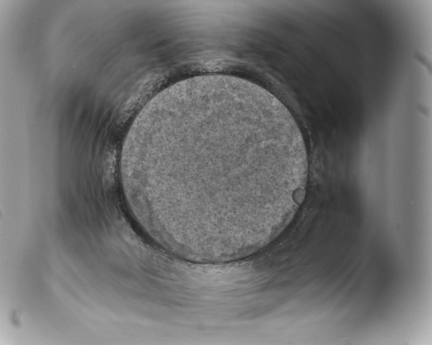 X0000103960018200810171912