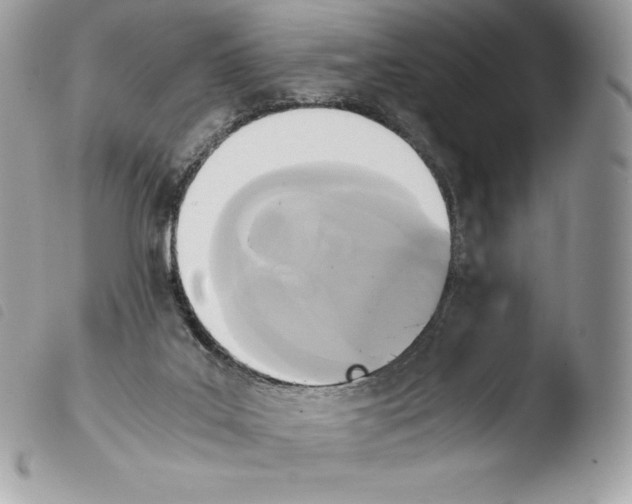X0000103960019200810171912