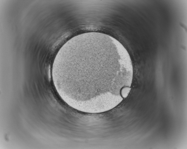 X0000103960020200810171912
