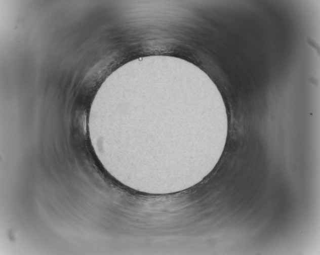 X0000103960021200810171912