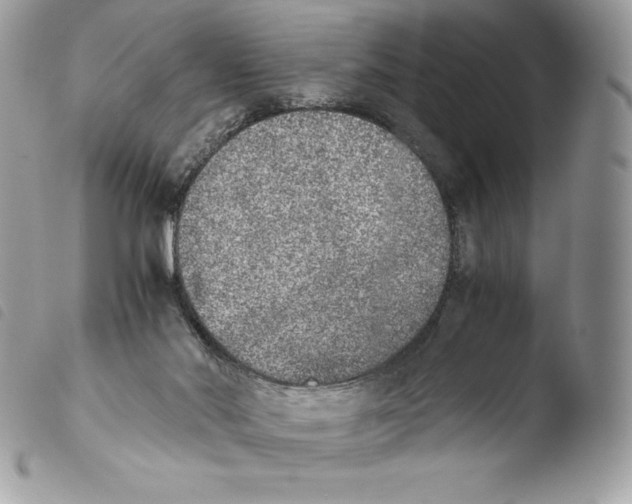 X0000103960022200810171912