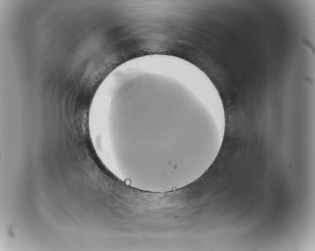 X0000103960023200810171912
