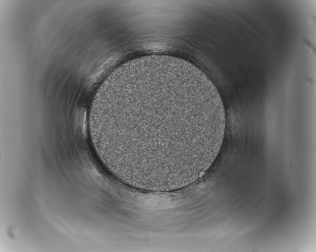 X0000103960024200810171912