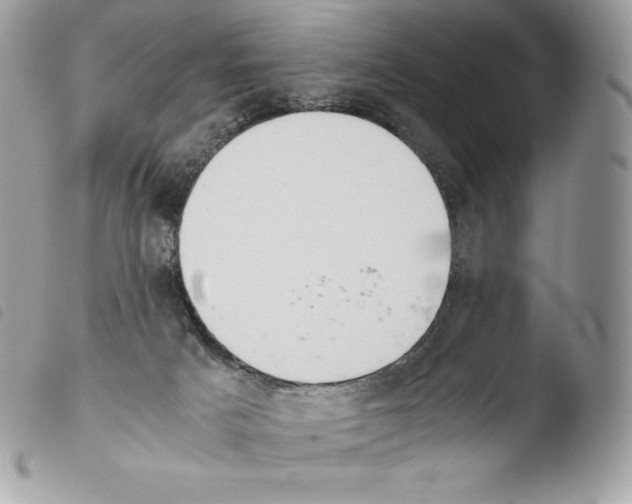 X0000103960025200810171912