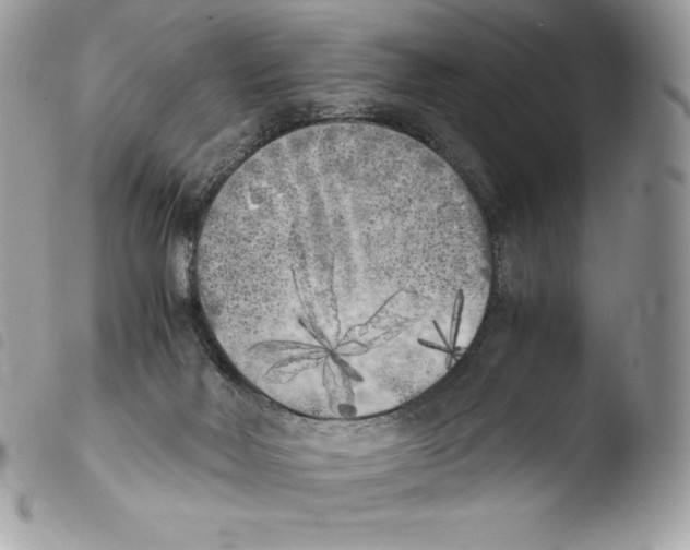 X0000103960026200810171912