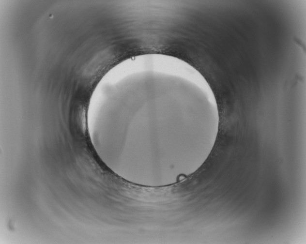 X0000103960027200810171912
