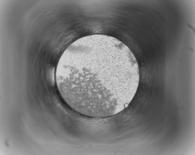 X0000103960028200810171912