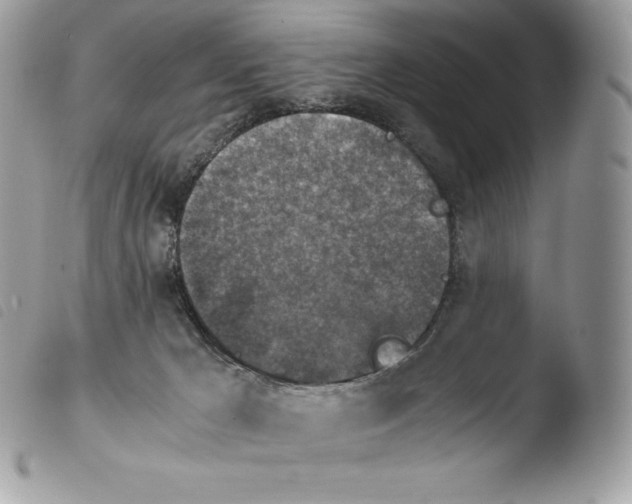 X0000103960029200810171912
