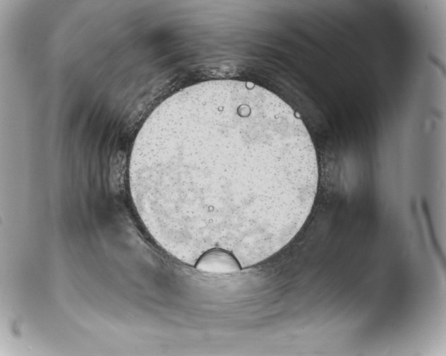 X0000103960030200810171912