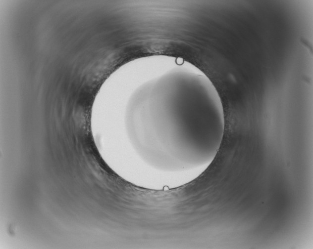 X0000103960031200810171912