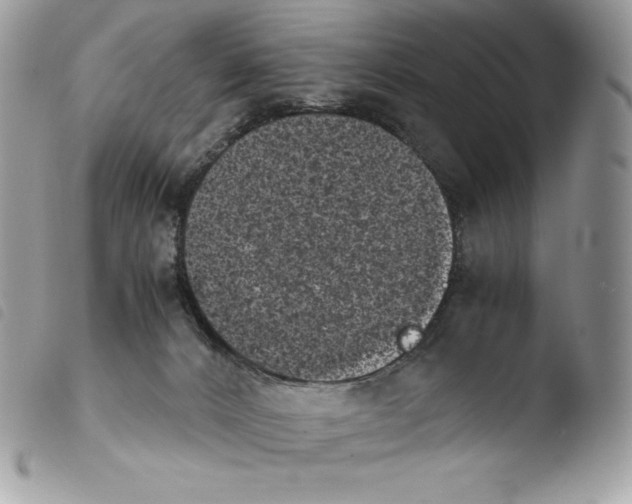 X0000103960032200810171912