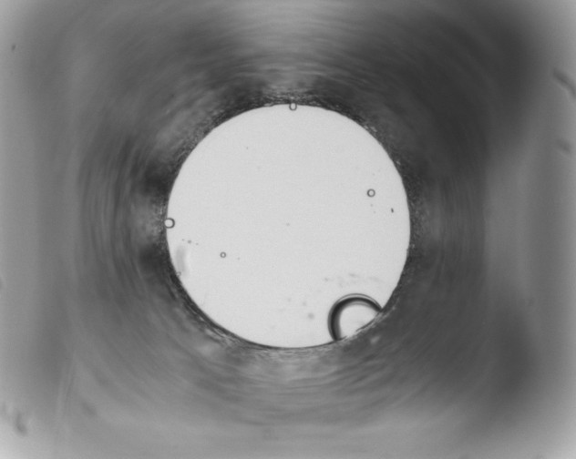 X0000103960033200810171912