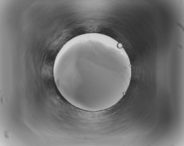 X0000103960035200810171912
