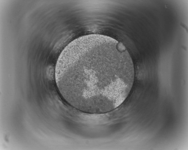 X0000103960036200810171912