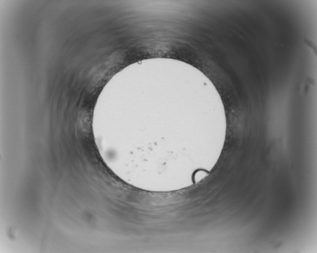 X0000103960037200810171912