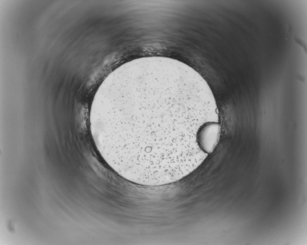 X0000103960038200810171912