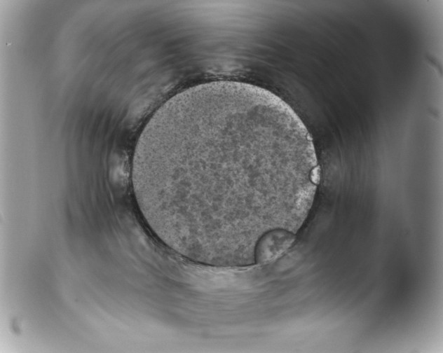 X0000103960040200810171912