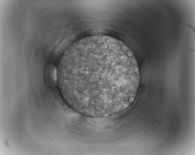 X0000103960041200810171912