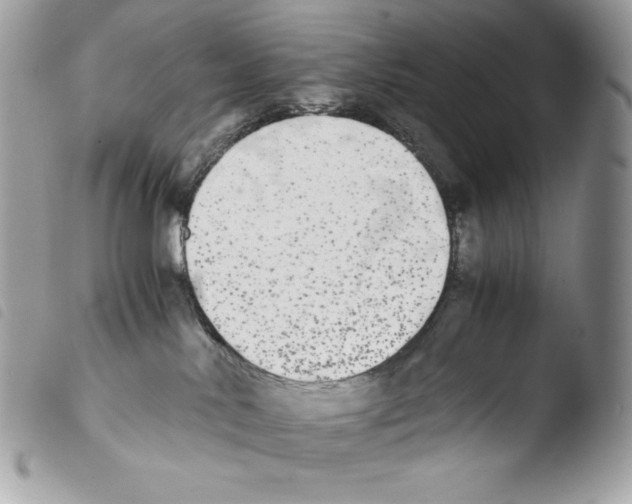 X0000103960042200810171912