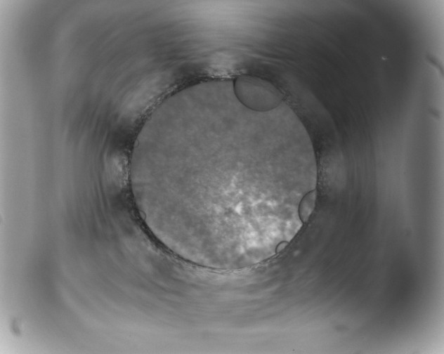 X0000103960043200810171912