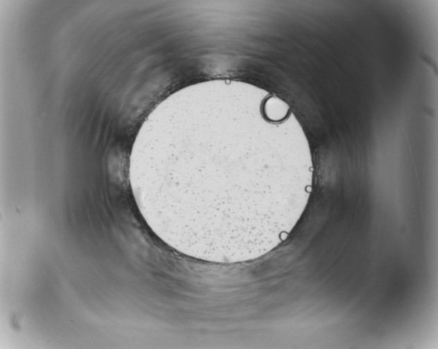 X0000103960044200810171912