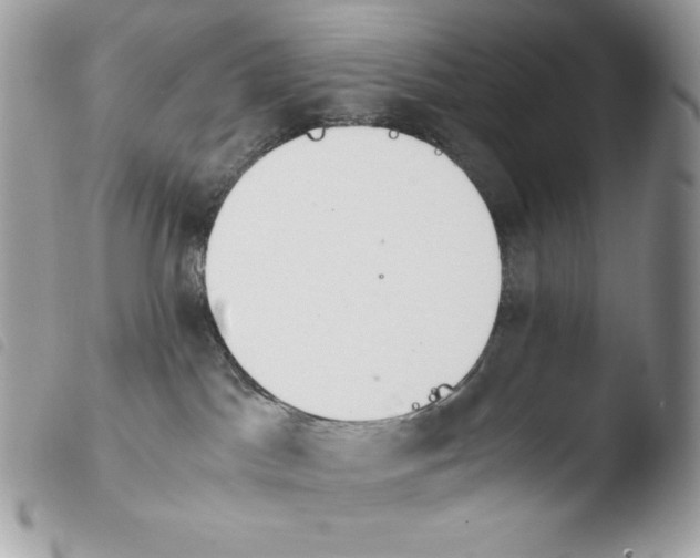 X0000103960045200810171912