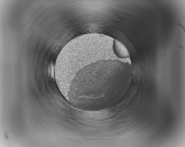 X0000103960046200810171912