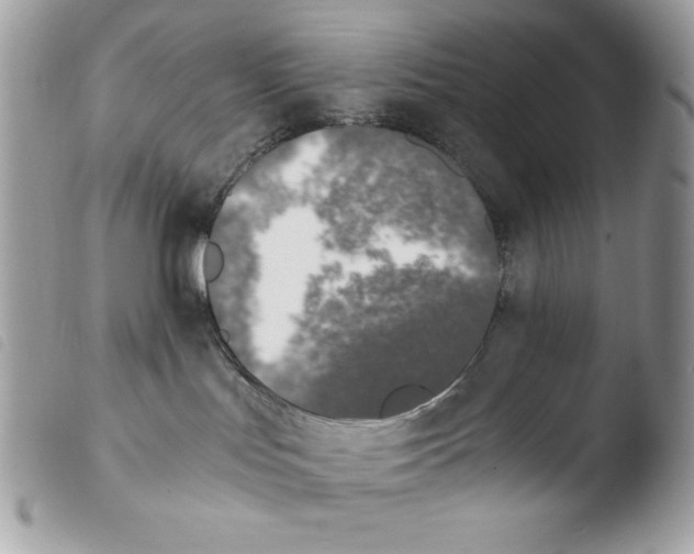 X0000103960047200810171912