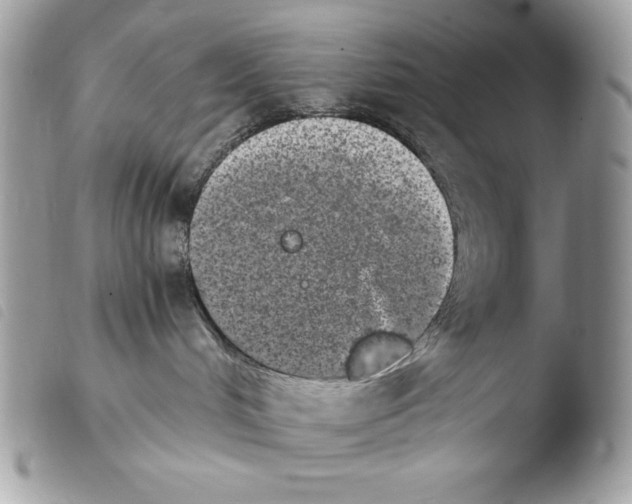 X0000103960048200810171912