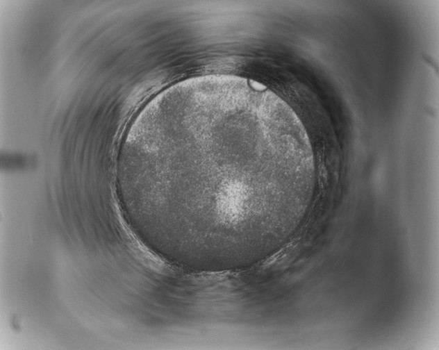X0000103960049200810171911