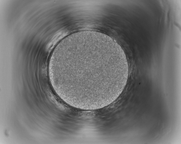 X0000103960050200810171911