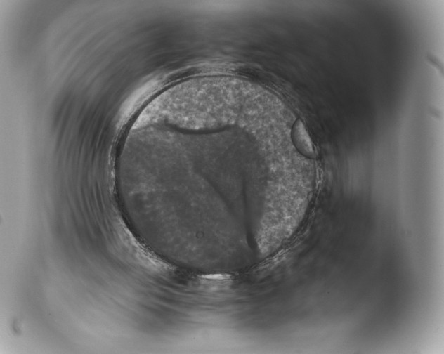 X0000103960053200810171911