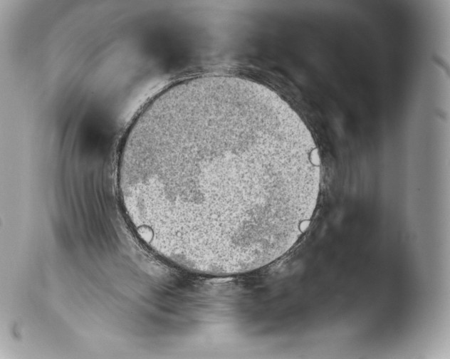 X0000103960054200810171911