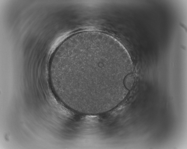 X0000103960055200810171911