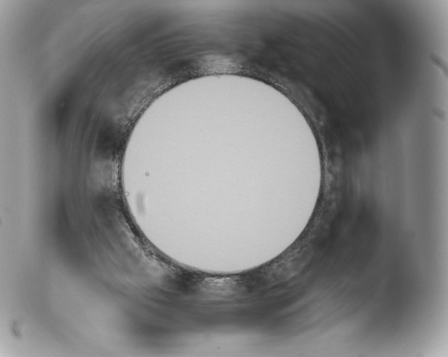 X0000103960057200810171911