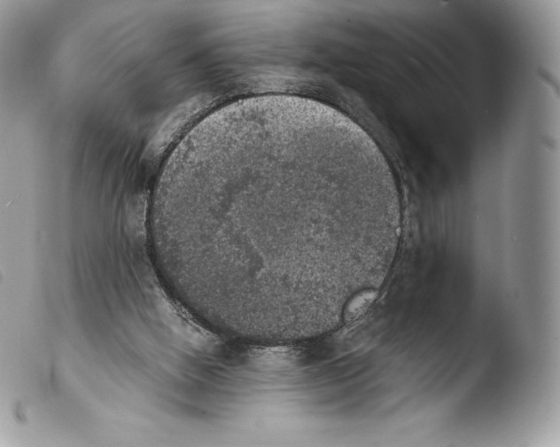 X0000103960058200810171911